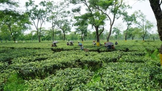 ⥯㥤ʡ  å ˬι 2024