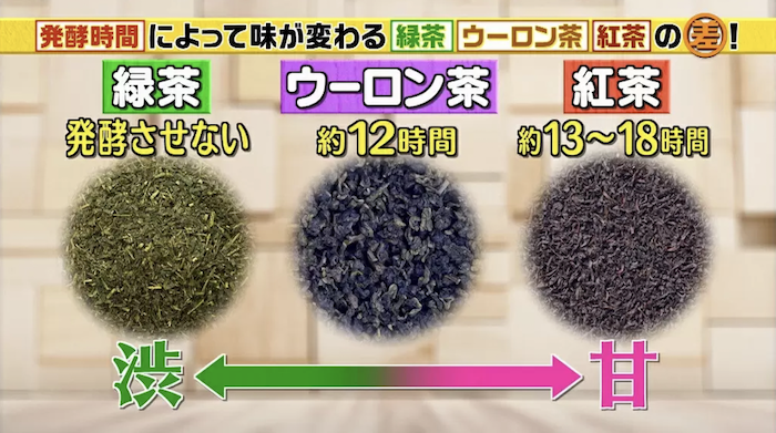 緑茶と紅茶は同じ茶の木。違いは発酵の度合いだけ