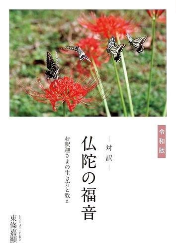 智慧と慈悲の開発レッスン: 過去に悩まず、未来を期待せず、現在