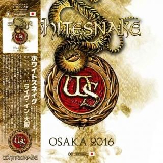 トヨタカップ 第15回 ACミラン vs ベレス・サルスフィエルド　DVD トヨタカップ 第15回 ACミラン vs ベレス・サルスフィエルド DVD