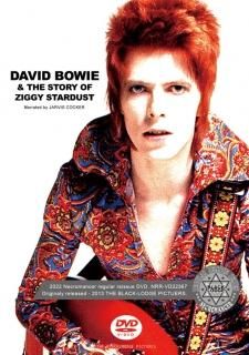 DAVID BOWIE - コレクターズCD,DVD通販 BEATNIKGROOVE.COM (We