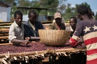 Ethiopia Yirgacheffe Worka å 