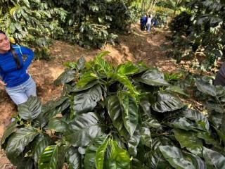 Nicaragua San Jose ܥ˥åޥ졼ʥ롡濼ꡡ