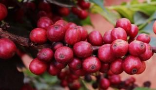 KENYAGATHAITHI ࡡWashedꡡ