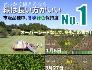 ӿ建ϿʼС1֡
