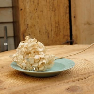 ⭕️⭕️英国 ウッズウェアwoods wareティーポットセット&ボウル⭕️⭕️