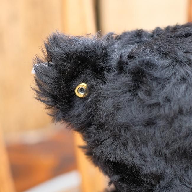 シュタイフ Steiff テディベア 1953 schwarz レプリカ 限定3000 シュタイフ Steiff テディベア 1953 schwarz レプリカ 限定3000