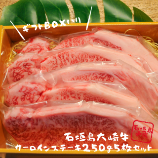 <img class='new_mark_img1' src='https://img.shop-pro.jp/img/new/icons15.gif' style='border:none;display:inline;margin:0px;padding:0px;width:auto;' />г250g5ȯ