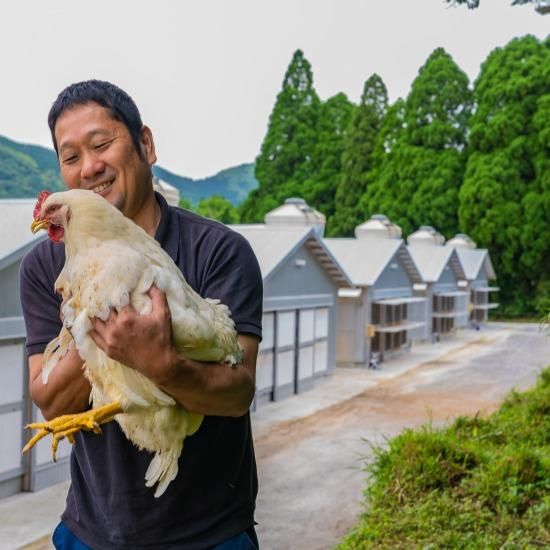 かしわ・鶏刺し専門店 大摩桜＞のご紹介：南九州市｜かごしまぐるり