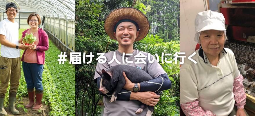 鹿児島市×かごしまぐるり