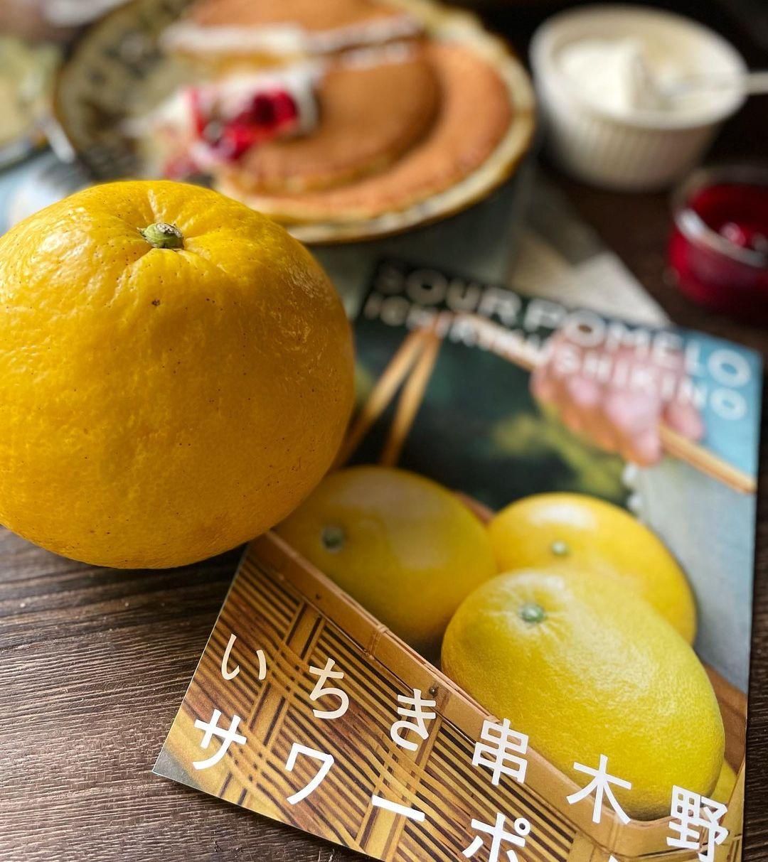 訳あり サワーポメロ | いちき串木野産 - 【かごしまぐるり 訳あり サワーポメロ | いちき串木野産 - 【かごしまぐるり