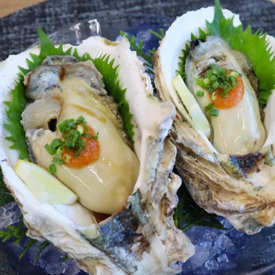 長島の岩牡蠣