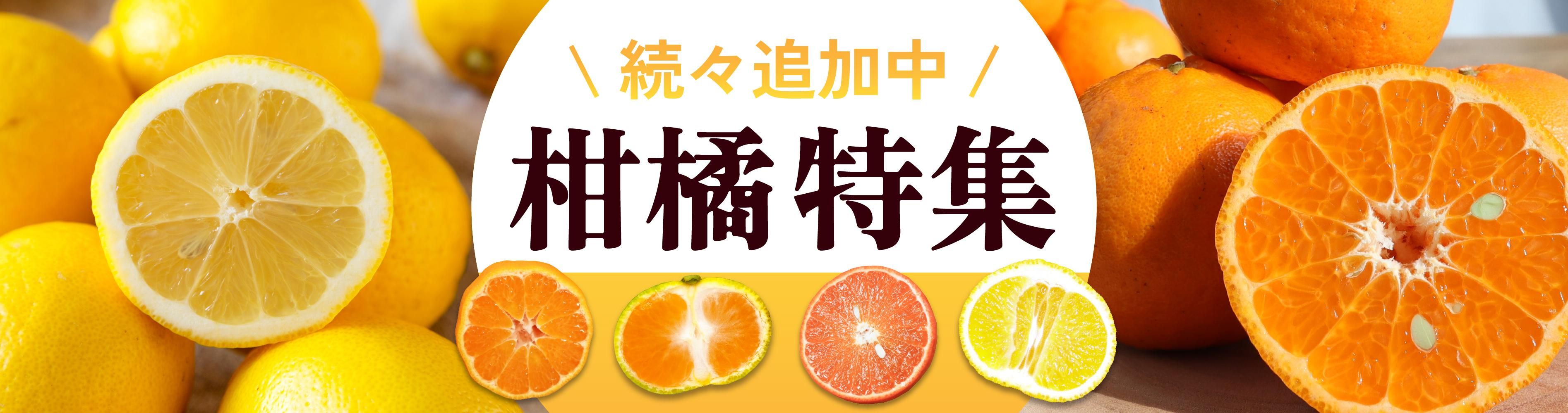 かごしまぐるりの柑橘特集