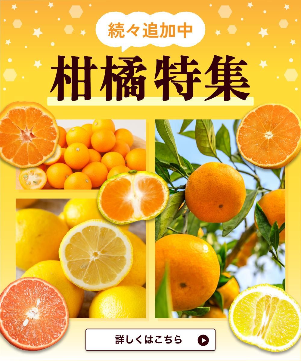 かごしまぐるりの柑橘特集