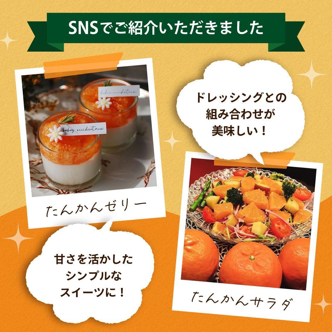屋久島 たんかん