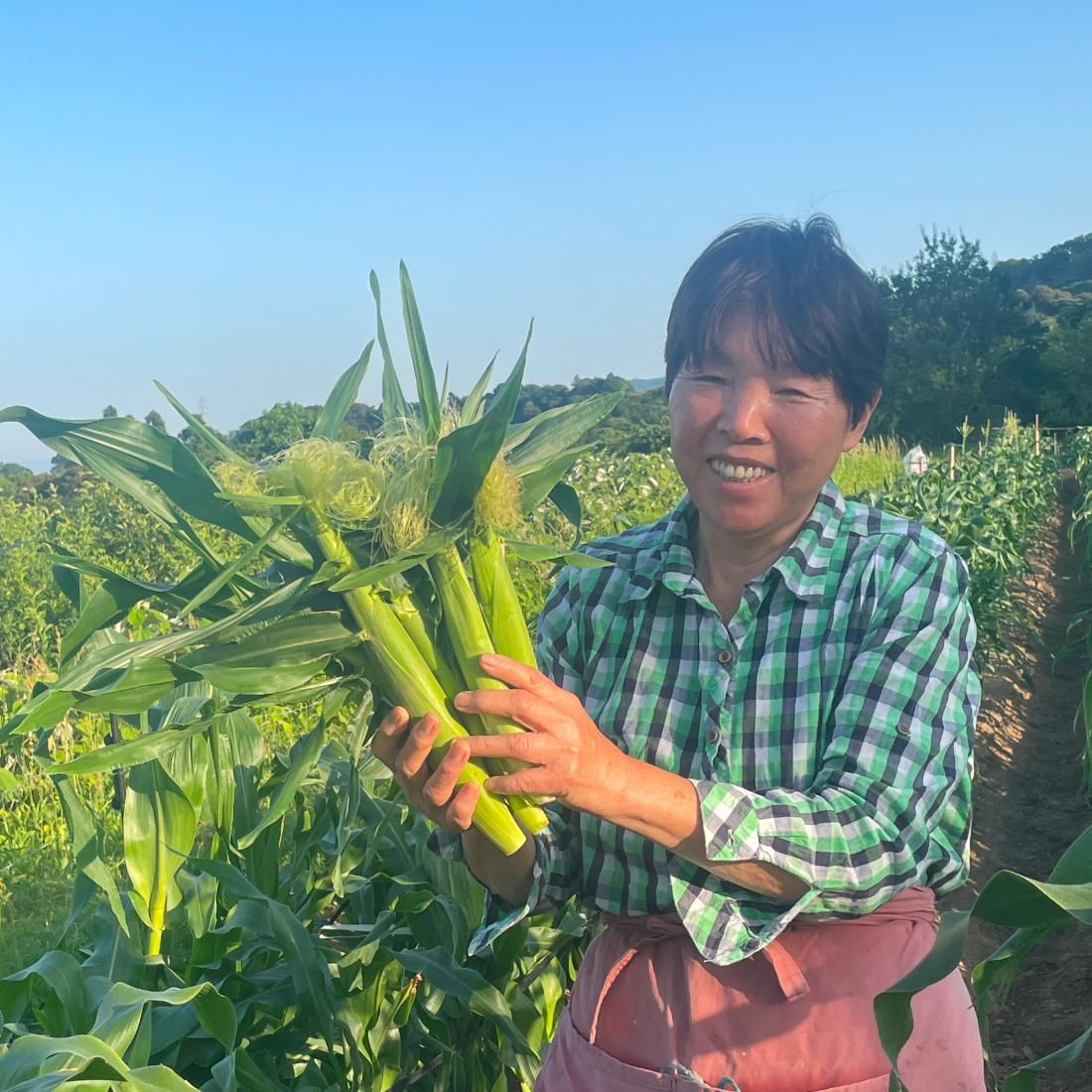 上堀内農園の上堀内さん