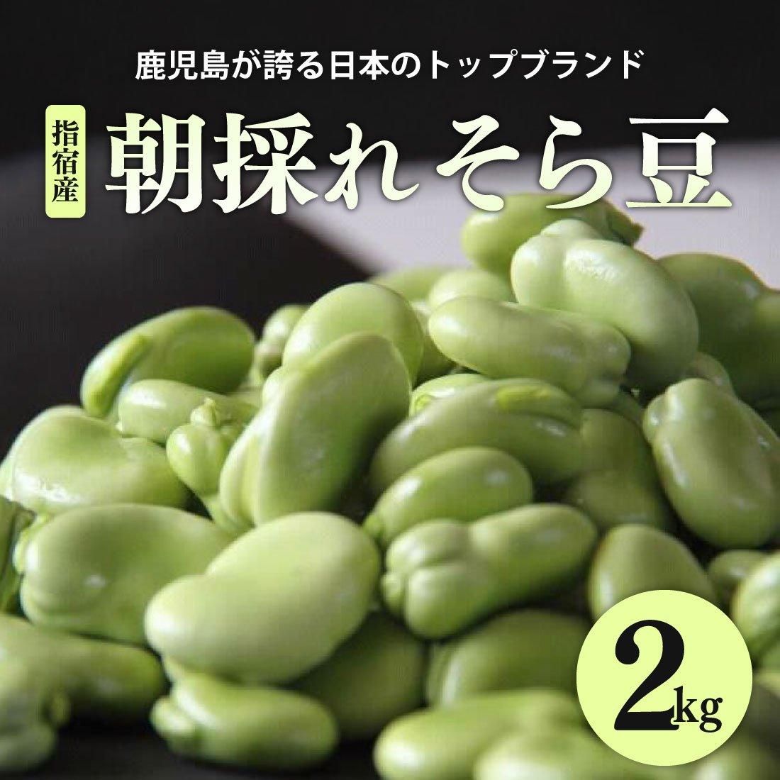 そらまめ - その他 そらまめ - その他