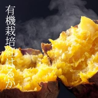 上品な後味！有機JAS認定 紅はるか プチサイズ 5kg
