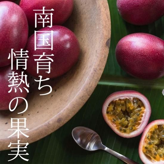 パッションフルーツ ご家庭用1 2kg かごしまぐるり 鹿児島の名物 特産品を産地直送 お取り寄せ ギフト通販 パッションフルーツ ご家庭用1 2kg かごしまぐるり 鹿児島の名物 特産品を産地直送 お取り寄せ ギフト通販