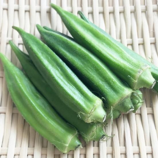 指宿産 朝摘みオクラ 1kg - アグリスタイル 【かごしまぐるり】