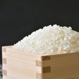 神殿米 400ｇ/5kg/10kg【噛むほどに甘い！】