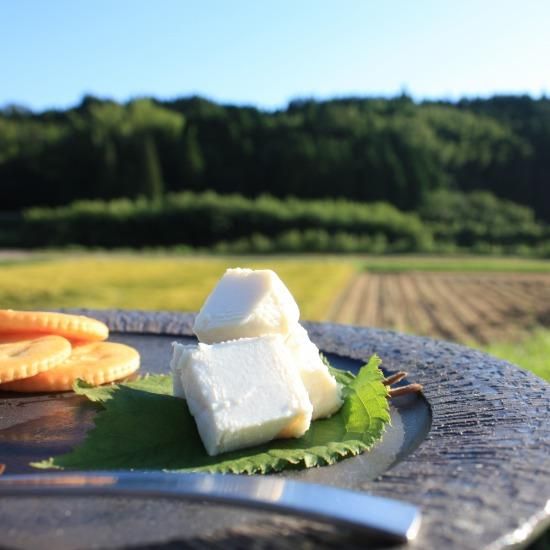かごしまぐるり】熟成クリームチーズ60g - ほたる醸造