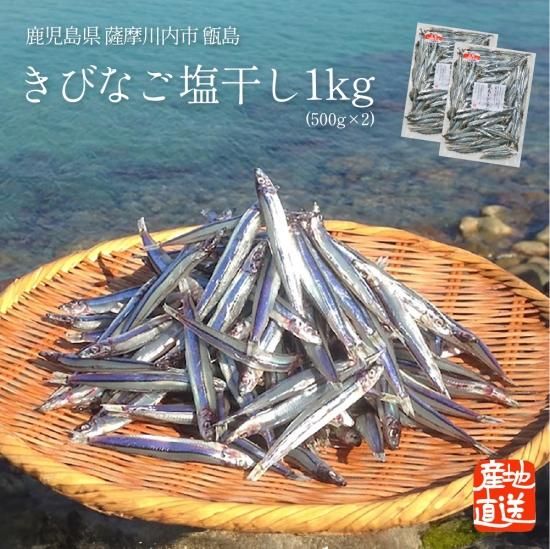 きびなご塩干し 500g - 馬場水産加工場 【かごしまぐるり】