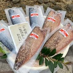 味わい深さが広がる！さばフィレ６枚（塩さば６枚）