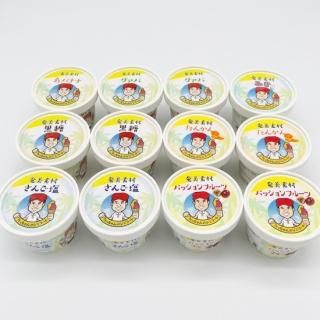 南国ジェラートがお家でも楽しめる！奄美大島産の素材使用 低脂肪 低カロリージェラート たっちゃんのジェラート　12個入り