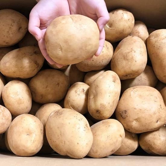 徳之島 にしゆたか 新じゃが 10kg - 徳之島恵実菜園 徳之島 にしゆたか 新じゃが 10kg - 徳之島恵実菜園