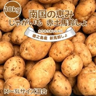煮くずれしにくい！徳之島 にしゆたか 新じゃが １０ｋｇ