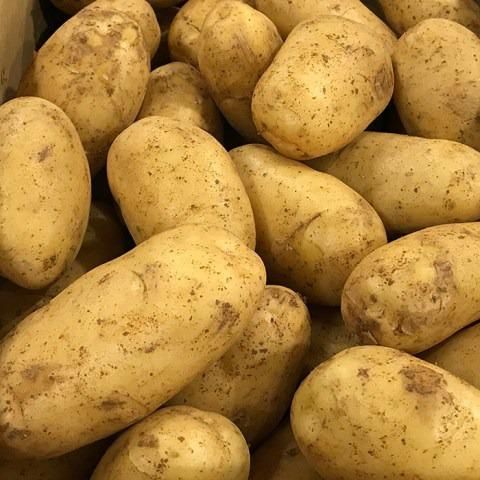 沖永良部 島の恵み じゃがいも 5kg - TSUMUGU 【かごしま