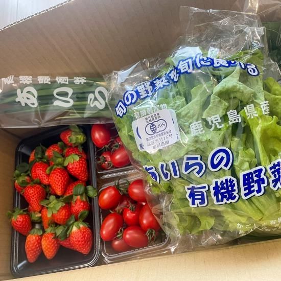 姶良産 イチゴ・トマト有機野菜3種の詰め合わせセット - ATOS