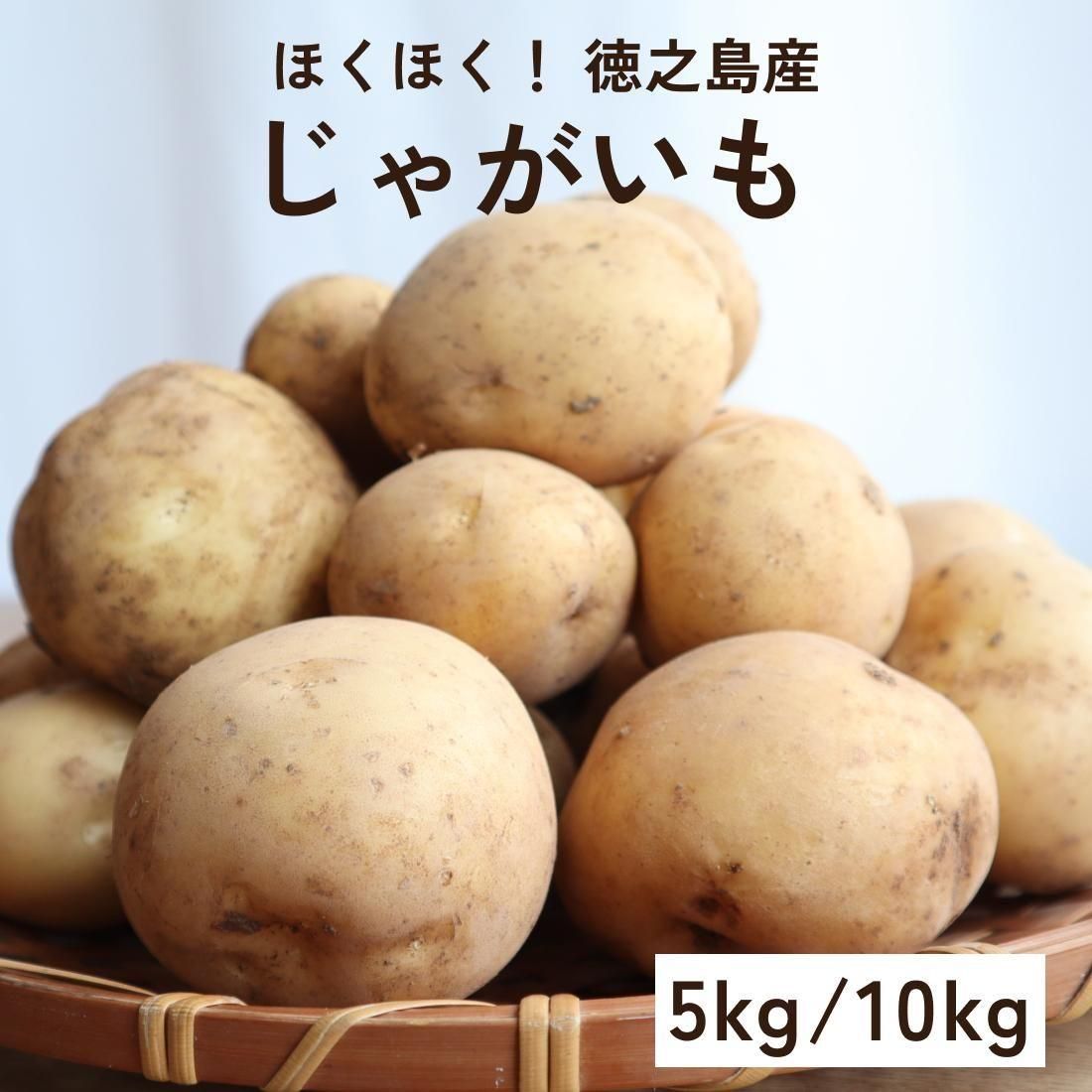 春の新じゃが | 徳之島産 10kg - 【かごしまぐるり】鹿児島の 春の新じゃが | 徳之島産 10kg - 【かごしまぐるり】鹿児島の
