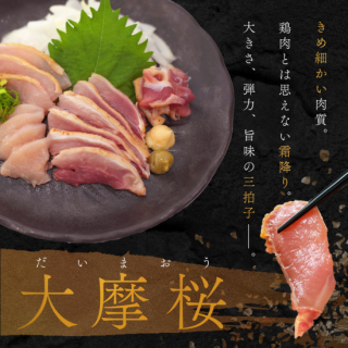 【旨味溢れる！これぞ本場の鶏刺し！】大摩桜モモ・ムネ160g×4パック/オリジナル醤油
