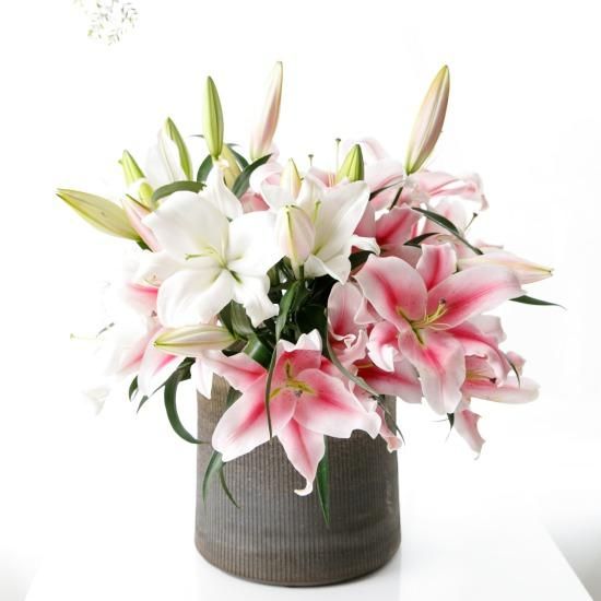 オリエンタルユリ5本 - 鎌田ユリ園 【かごしまぐるり】