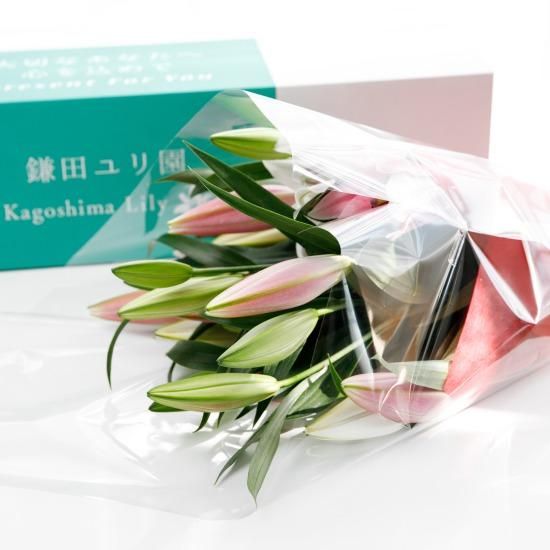 オリエンタルユリ5本 - 鎌田ユリ園 【かごしまぐるり】