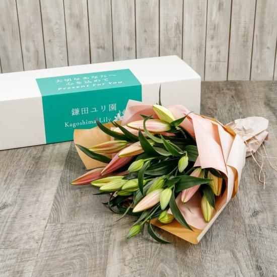 オリエンタルユリ5本 - 鎌田ユリ園 【かごしまぐるり】