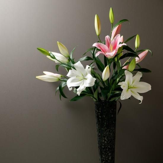 オリエンタルユリ5本 - 鎌田ユリ園 【かごしまぐるり】