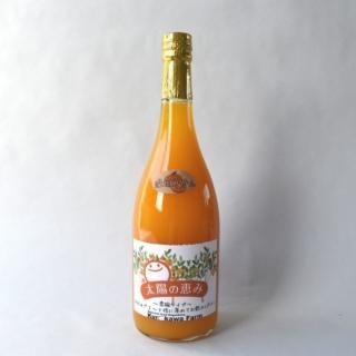熟成された果実を使用！太陽の恵み2本セット（温州みかん×2本）