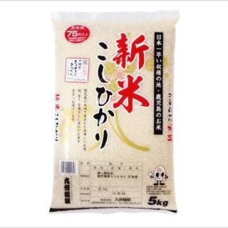 鹿児島県産 中米 29kg
