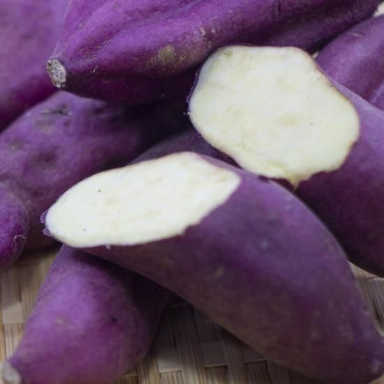 有機JAS認定 紅さつま 5kg - 久木田農園 【かごしまぐるり】