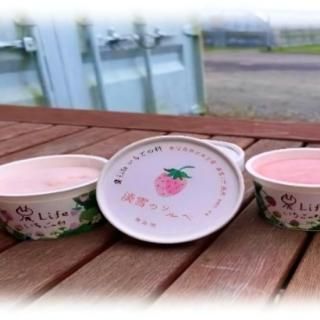 甘くてジューシー！苺のソルベ４個セット（赤苺２個・淡雪２個）
