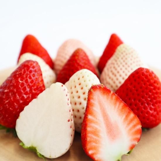 3品種いちご食べ比べセット(約400g～600g) - ままりあ農園