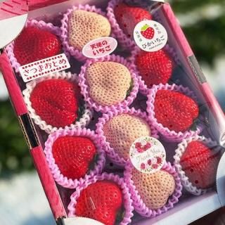 【予約販売】3品種いちご食べ比べセット(約400g)【3セット限定】