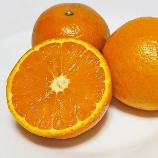 家庭用】屋久島たんかん サイズ混合3kg - おのぼり農園 家庭用】屋久島たんかん サイズ混合3kg - おのぼり農園