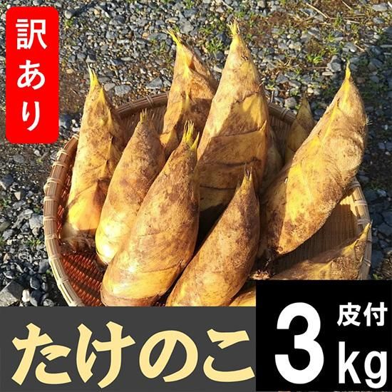 正規激安 鹿児島県産 国産たけのこ訳あり3kg皮付 - 【かごしま 竹や薪や 野菜