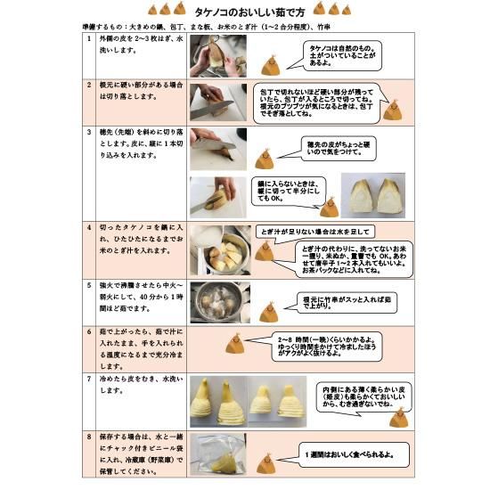 数量限定！】鹿児島県産 たけのこ 2kg皮付 - 竹ん子山