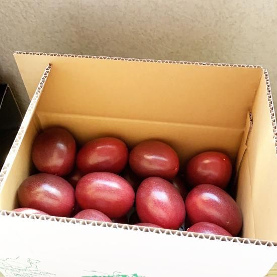 パッションフルーツ 2kg(サイズL.M混合)-kashiwa farm パッションフルーツ 2kg(サイズL.M混合)-kashiwa farm