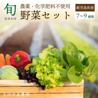 農薬・化学肥料不使用！旬のお野菜セット(7~9品目)